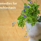 Illustration for article titled Natural Remedies for Bronchiectasis Prevent Damage to Lungs